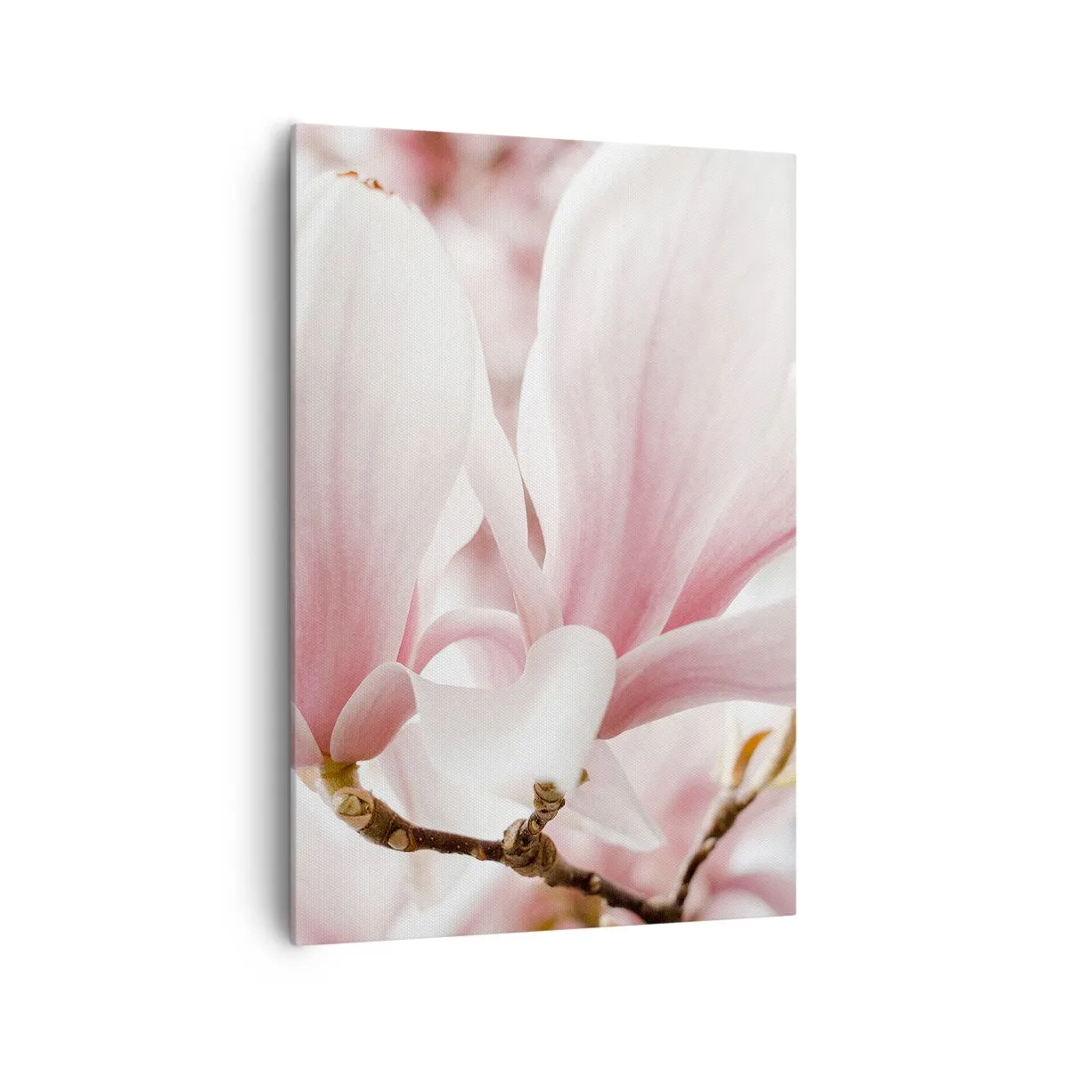 Obraz na plátně - Nesmírnost něžnosti - 70x100 cm