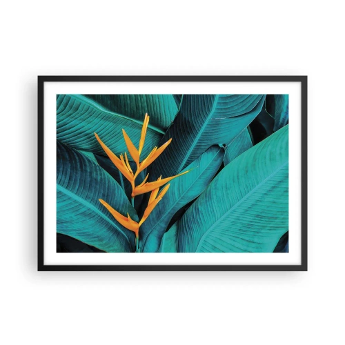 Plakát v černém rámu - Rajský květ - 70x50 cm