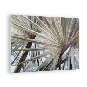 Obraz na skle - Palmové listy za jasného denního světla - 70x50cm - Vějíře v tropech - Moderní nástěnná dekorace do obývacího pokoje a ložnice ARTTOR