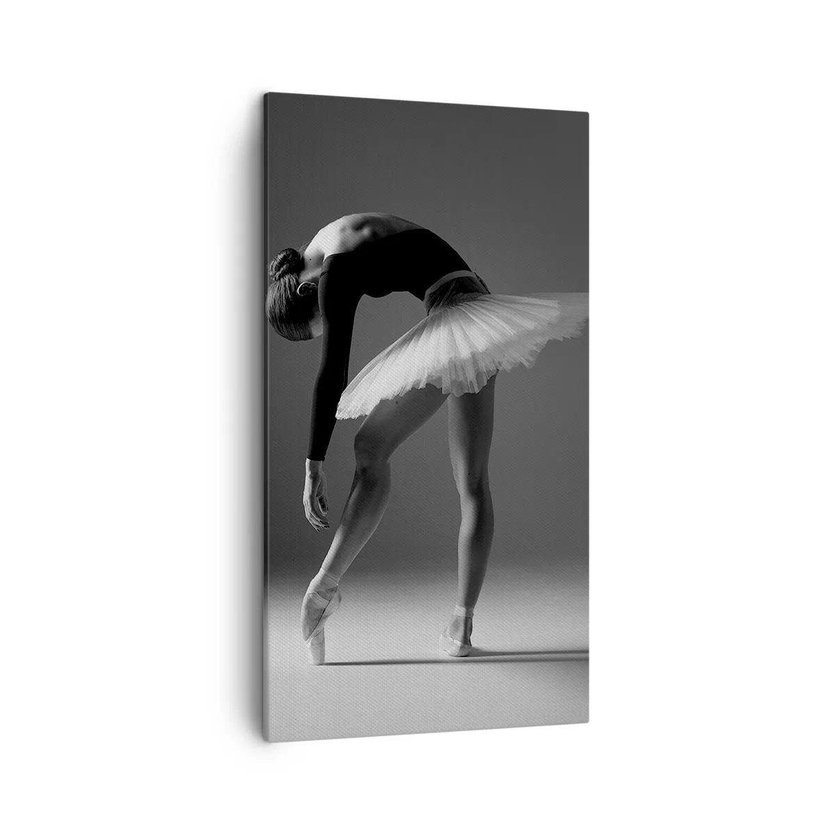 Obraz na plátně - Bella ballerina - 45x80 cm