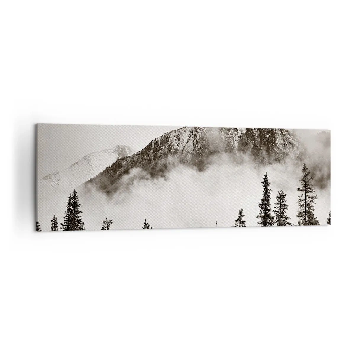 Obraz na plátně - Žulový panovník - 160x50 cm