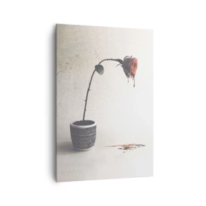 Obraz na plátně - Rosa dolorosa - 70x100 cm