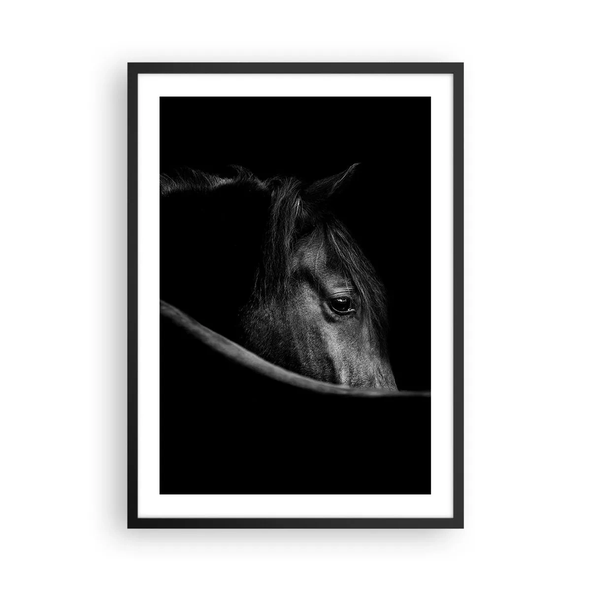 Plakát v černém rámu - Černobílý portrét koně v uměleckém pojetí - 50x70cm - Černý kníže - Moderní nástěnná dekorace do obývacího pokoje a ložnice ARTTOR