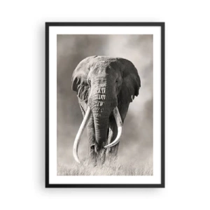 Plakát v černém rámu - Monochromatický portrét majestátního slona - 50x70cm - Africký patriarcha - Moderní nástěnná dekorace do obývacího pokoje a ložnice ARTTOR