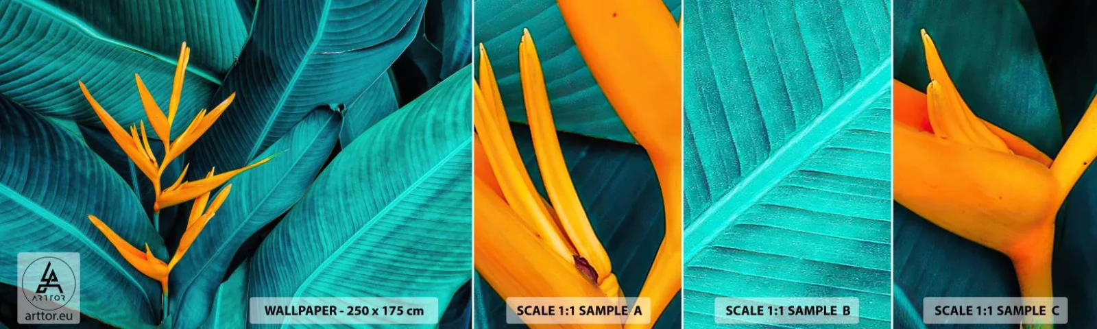 Vzor Fototapety Samolepicí Deluxe Sticker - Rajský květ - Královská Strelitzia, Květ, Afrika - 100x30 cm