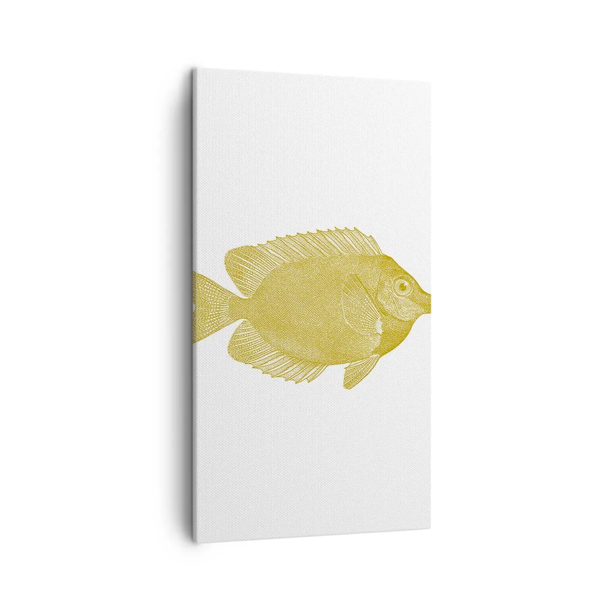 Obraz na plátně - Prostě ryba - 45x80 cm