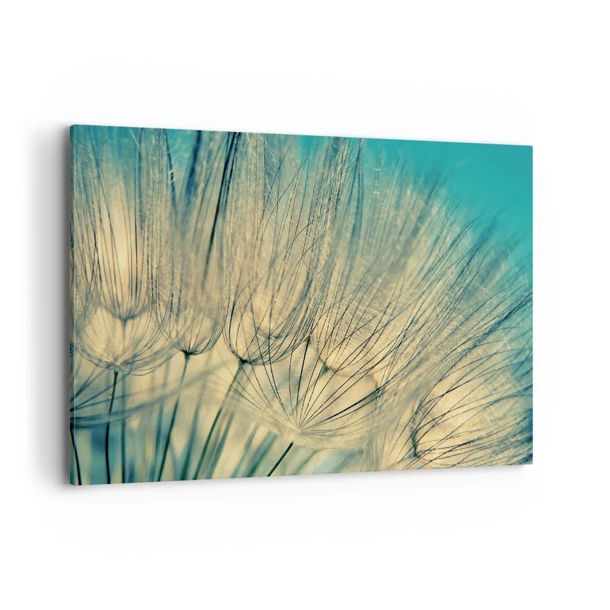 Obraz na plátně - Čekání na vítr - 120x80 cm