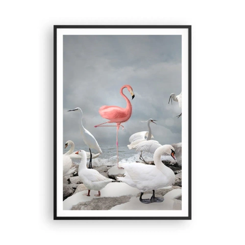 Plakát v černém rámu - Kde jsem se tu vzal? - 70x100 cm