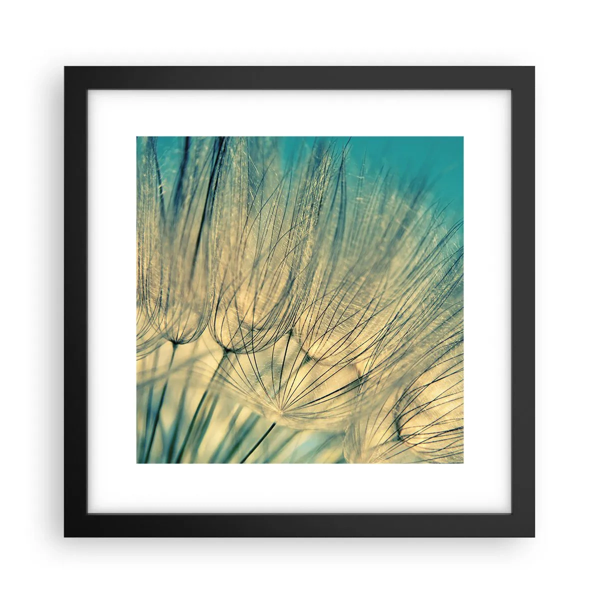 Plakát v černém rámu - Čekání na vítr - 30x30 cm