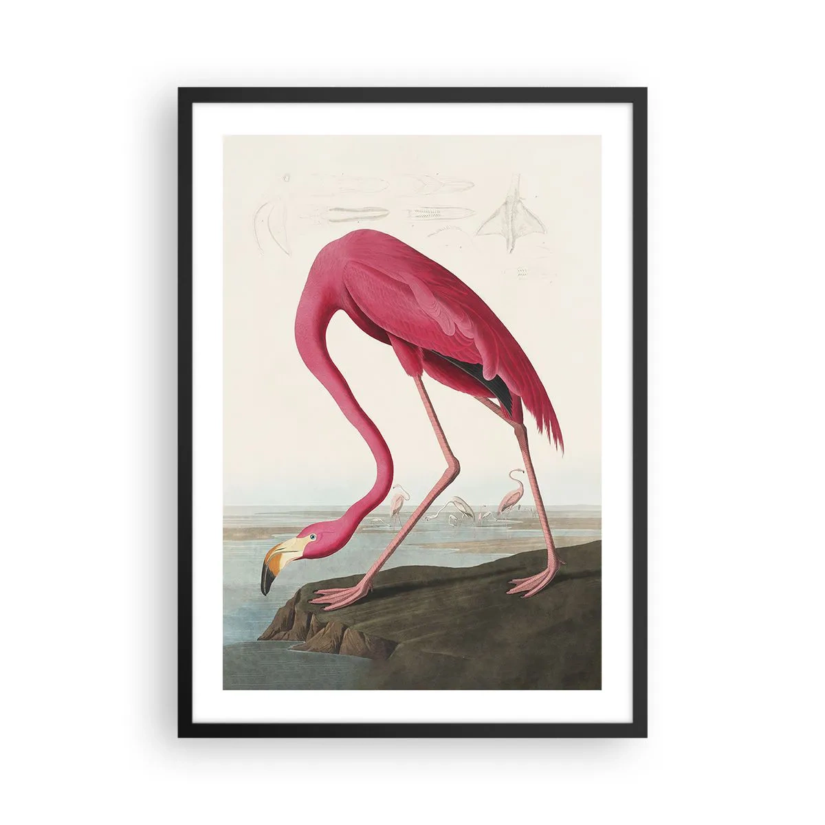 Plakát v černém rámu - Růžový plameňák proti přírodní krajině - 50x70cm - Úžasná stvůra - Moderní nástěnná dekorace do obývacího pokoje a ložnice ARTTOR