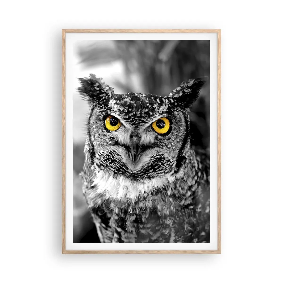 Plakát v rámu světlý dub - Nic se neschová - 70x100 cm