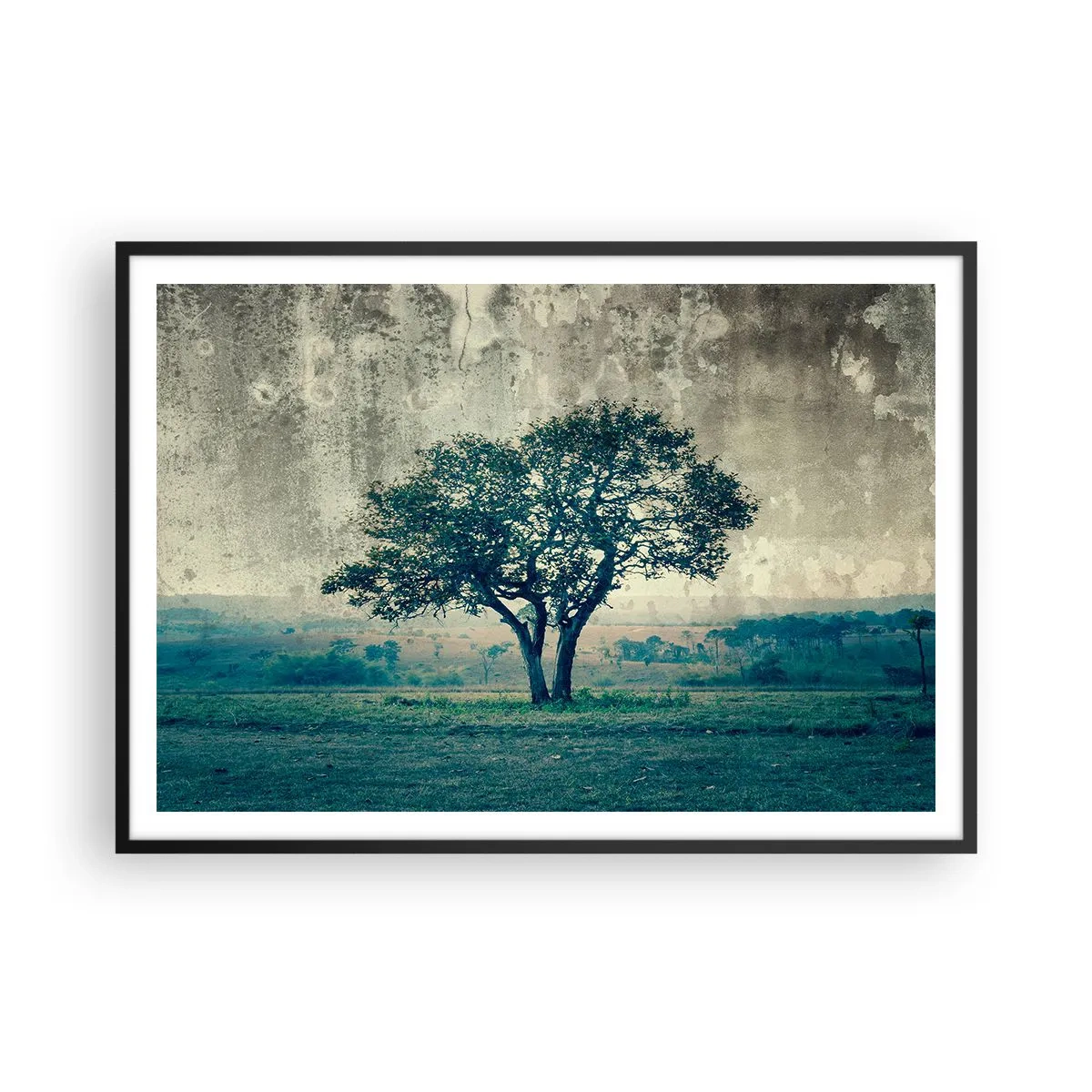 Plakát v černém rámu - Jabloň na modrém poli? - 100x70 cm