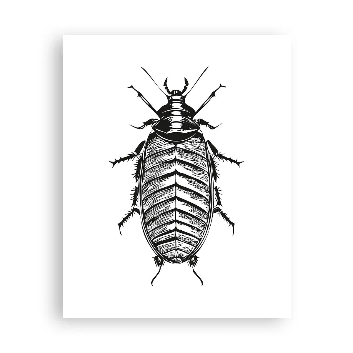 Plakát - Vzorový exemplář! - 40x50 cm