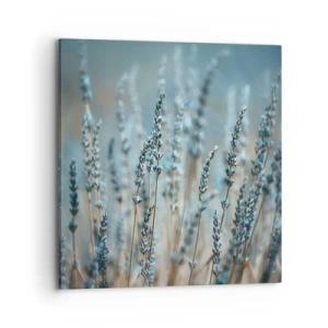 Obraz na plátně - Voňavý lán - 70x70 cm