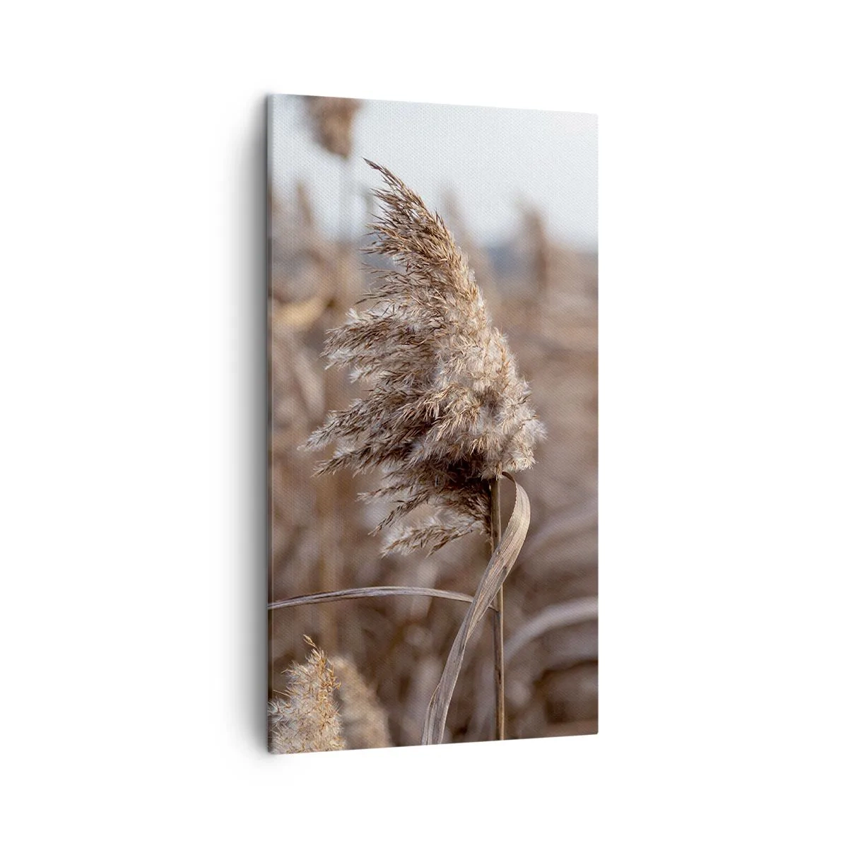 Obraz na plátně - Čas odletět s větrem - 45x80 cm