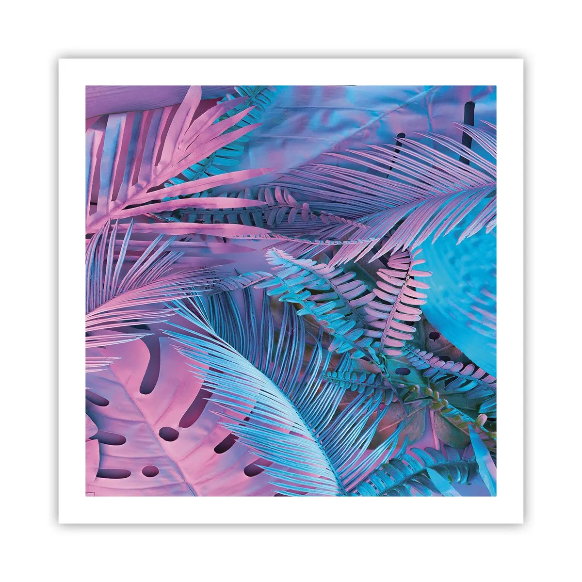 Plakát - Tropy v růžové a modré - 60x60 cm