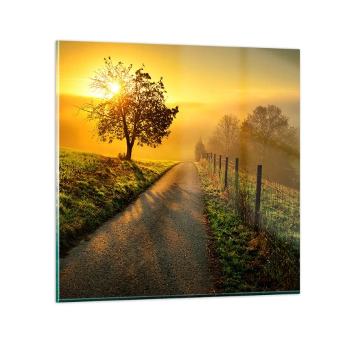 Obraz na skle - Medové odpoledne - 60x60 cm