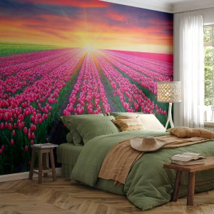 Fototapeta Premium Canvas - Farma krásy - Květiny, tulipány, Západ slunce - 100x70 cm