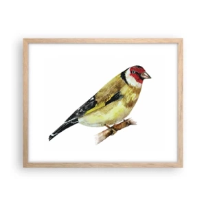 Plakát v rámu světlý dub - Ptáčí portrét - 50x40 cm