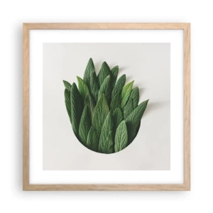 Plakát v rámu světlý dub - Neukojitelná zvědavost - 40x40 cm