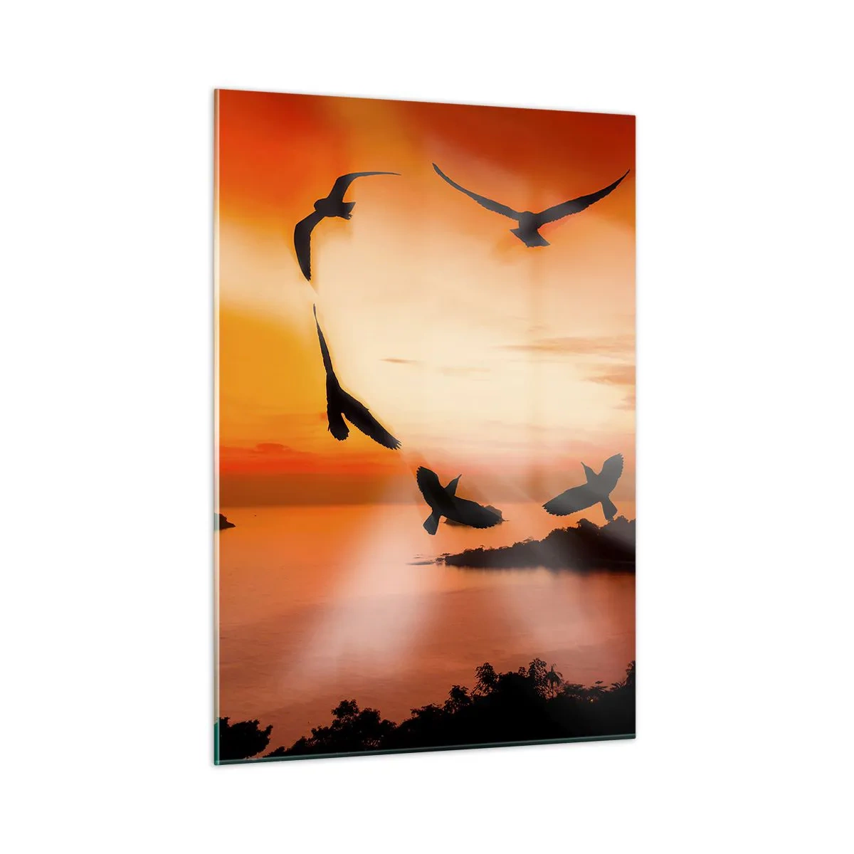 Obraz na skle - Miluj svět jako ptáci - 50x70 cm