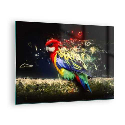 Obraz na skle - Barevný papoušek v umělecké kompozici s efektem rozbití - 70x50cm - Posel záře - Moderní nástěnná dekorace do obývacího pokoje a ložnice ARTTOR