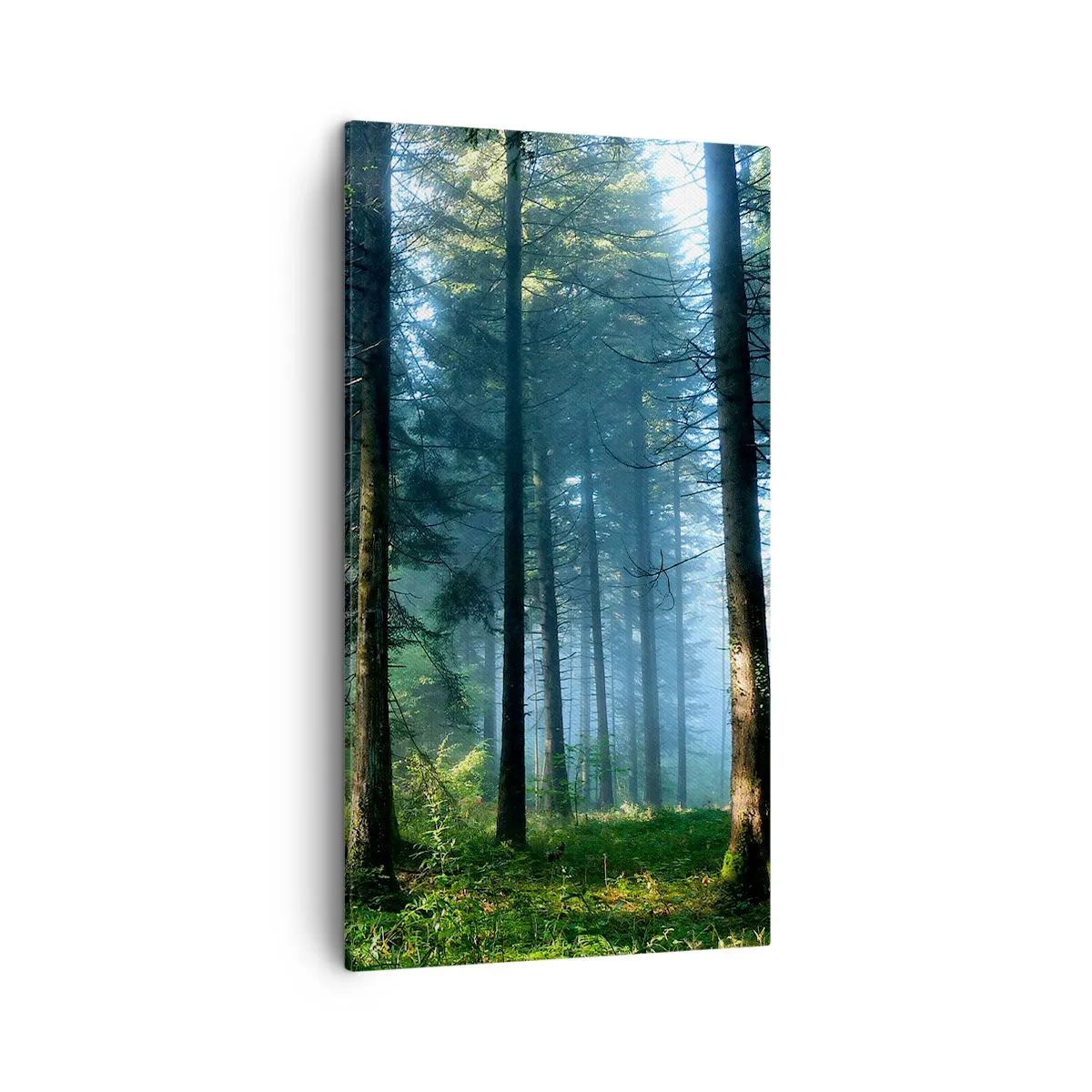 Obraz na plátně - Zářící za úsvitu - 45x80 cm