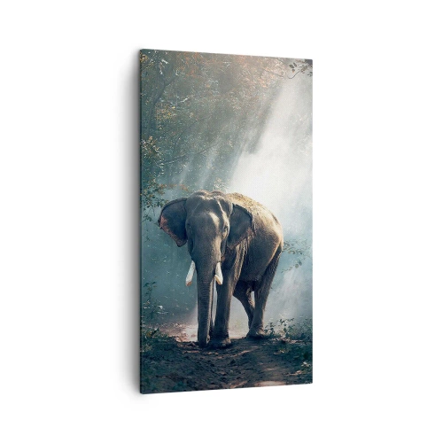 Obraz na plátně - Klidná procházka - 45x80 cm