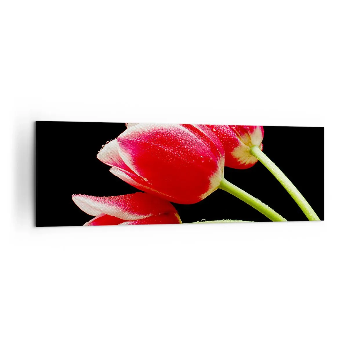 Obraz na plátně - Slib čisté lásky - 160x50 cm