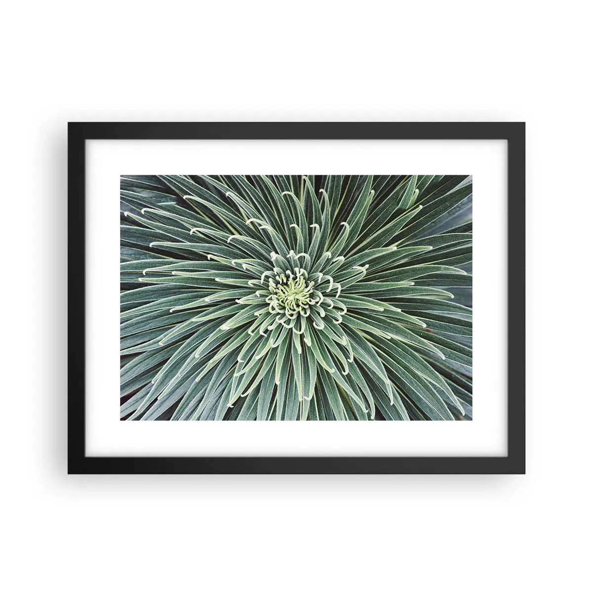 Plakát v černém rámu - Zrození hvězdy - 40x30 cm