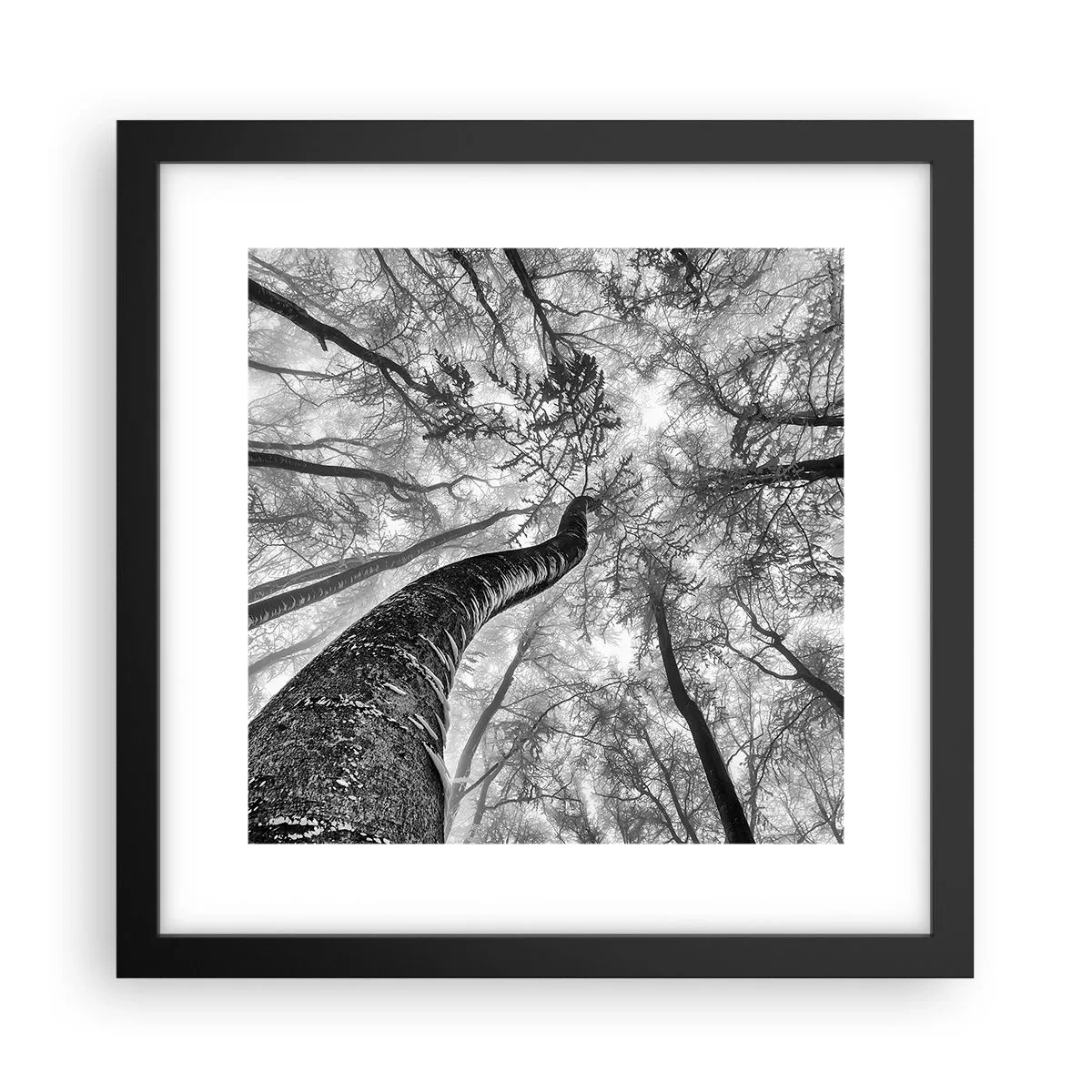 Plakát v černém rámu - Závod ke světlu - 30x30 cm