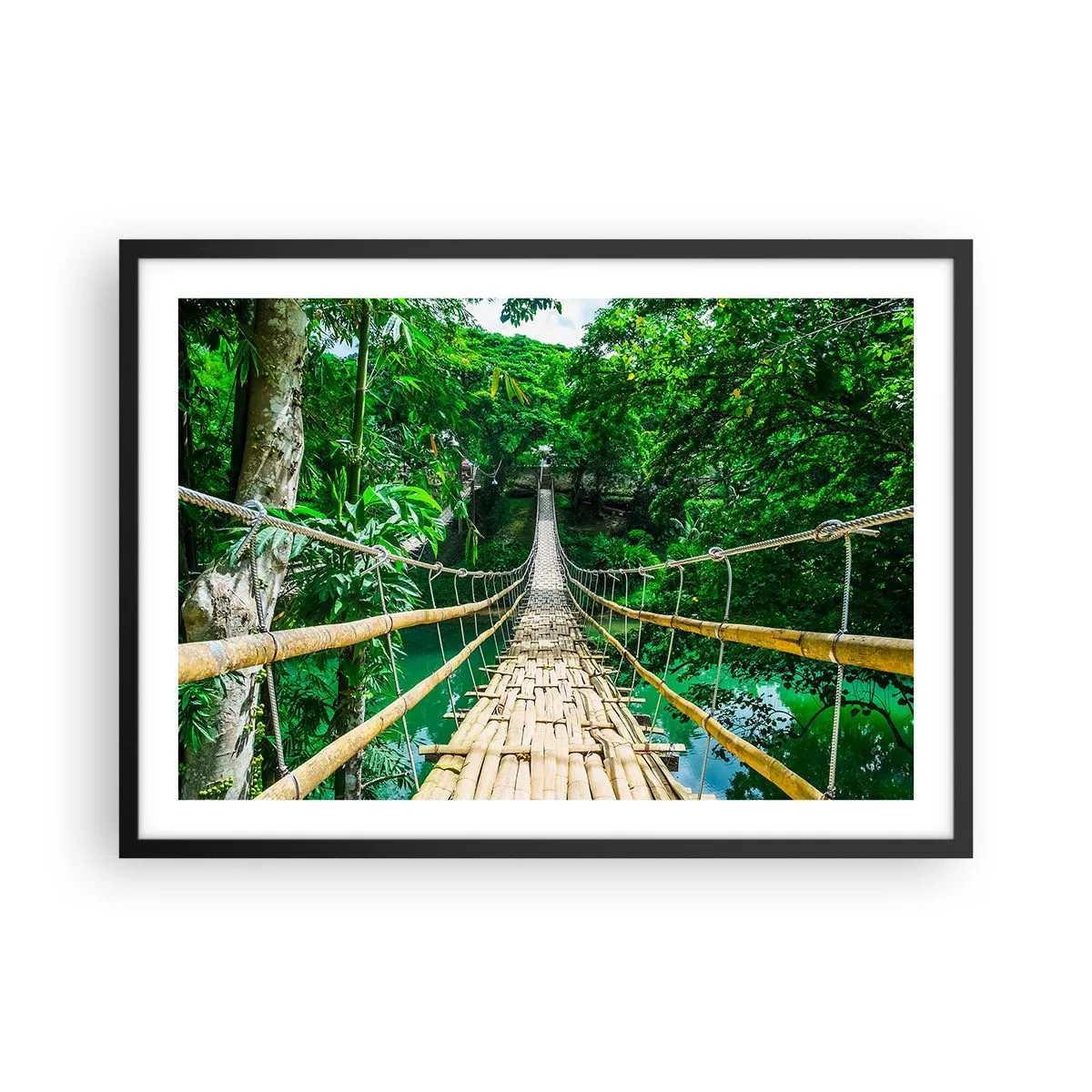 Plakát v černém rámu - Opičí most nad zelení - 70x50 cm
