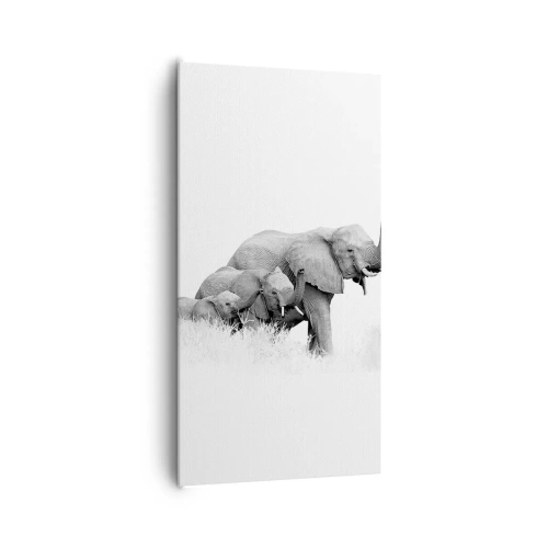 Obraz na plátně - Jedna, dvě, tři - 65x120 cm