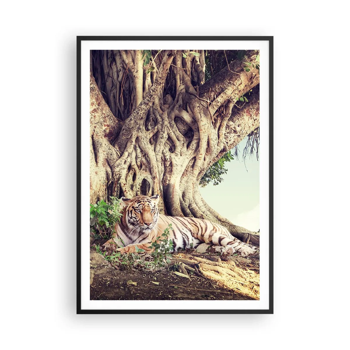 Plakát v černém rámu - Pohled z knihy Mojžíšovy - 70x100 cm