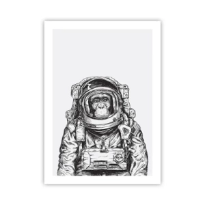 Plakát - Alternativní vývoj - 50x70 cm