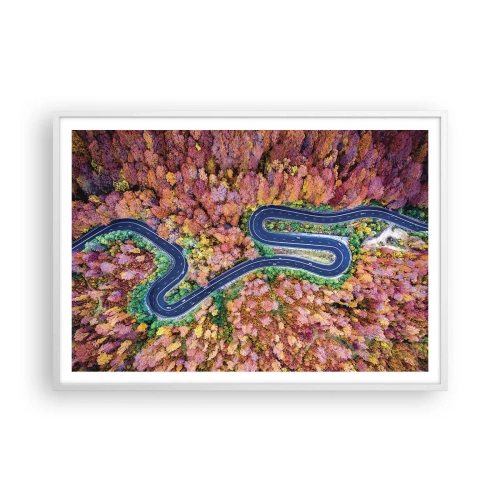 Plakát v bílém rámu - Klikatá cesta lesem - 100x70 cm