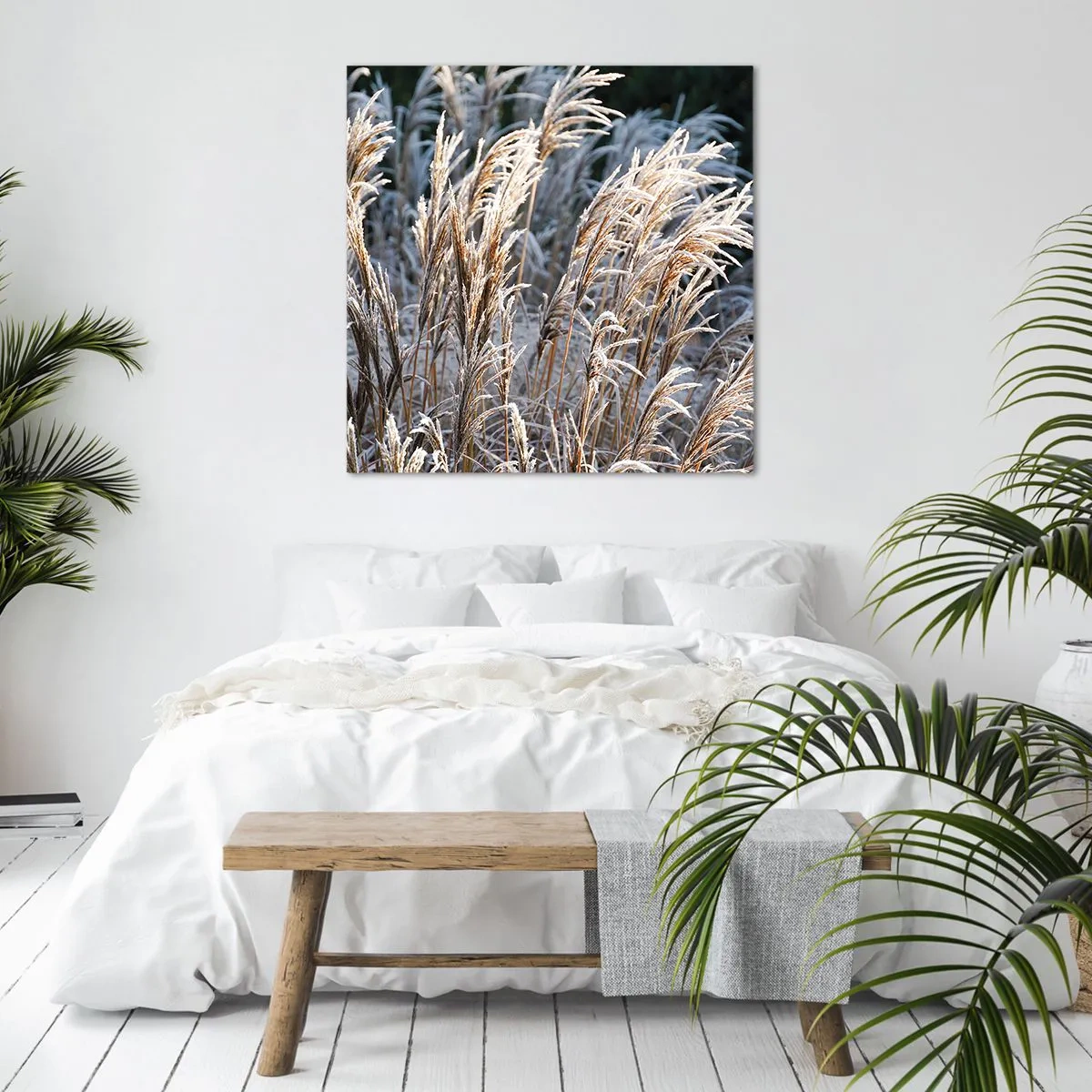 Obraz na plátně - Mrazem pokryté - 70x70 cm