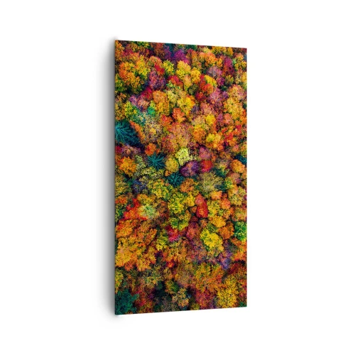Obraz na plátně - Kytice podzimních stromů - 65x120 cm
