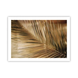 Plakát - Přírodní kolonáda - 70x50 cm