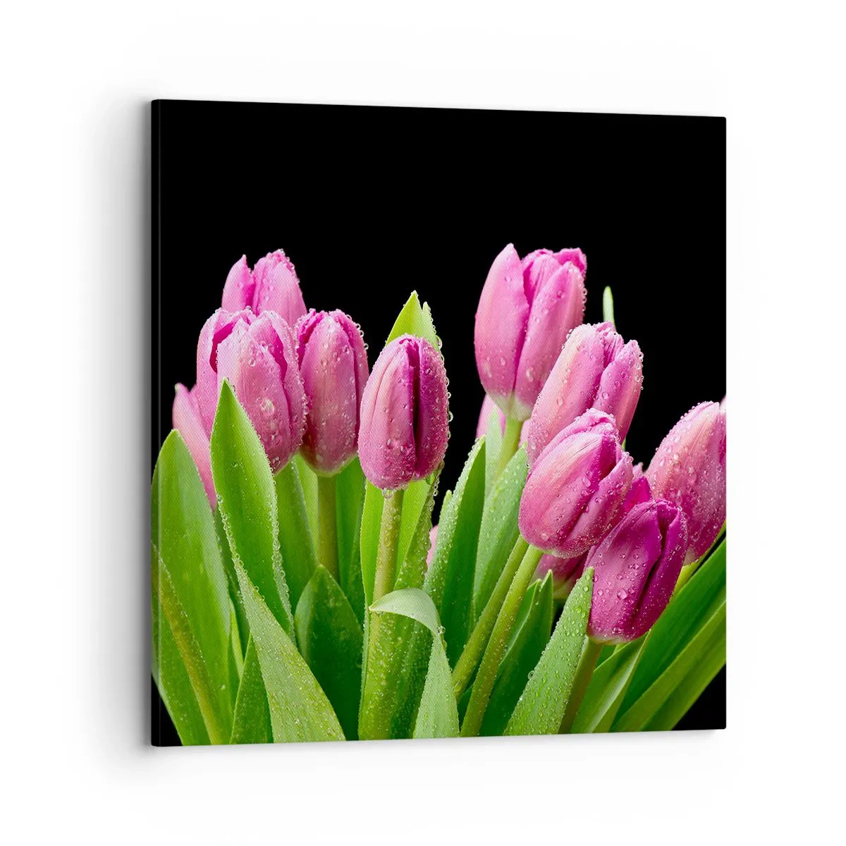 Obraz na plátně - Liliové potěšení jara - 70x70 cm