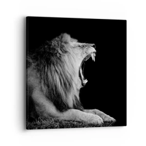 Obraz na plátně - Bez nejmenších pochyb - 40x40 cm