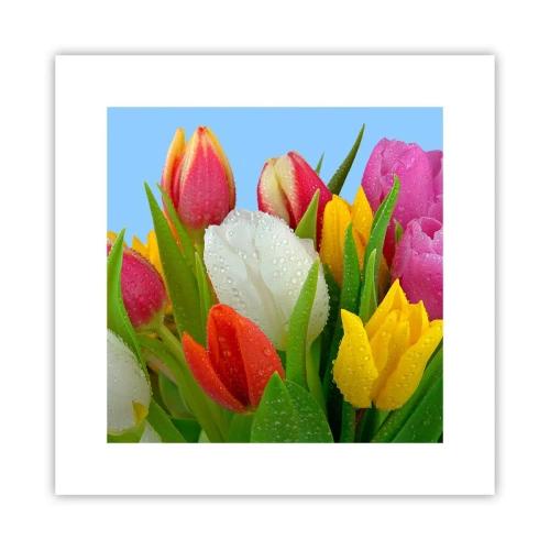 Plakát - Květinová duha v kapkách rosy - 30x30 cm