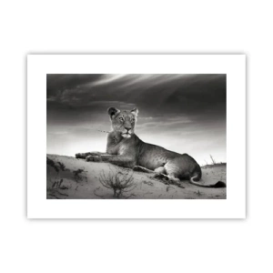 Plakát - Odpočinek královny pouště - 40x30 cm