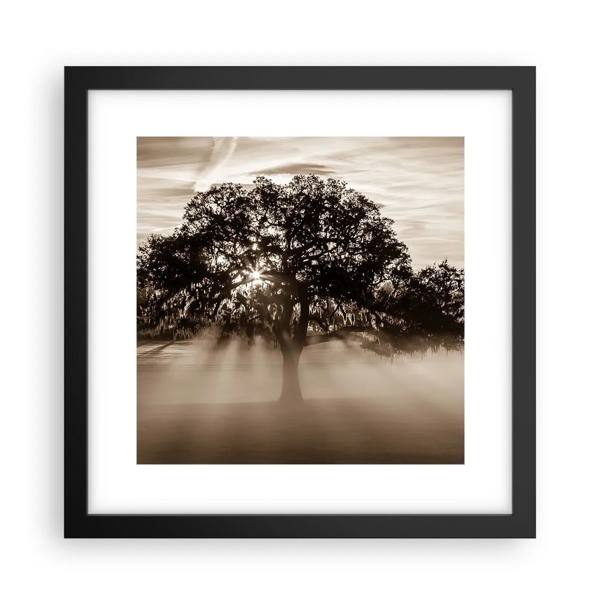 Plakát v černém rámu - Strom zpráv samotného dobra - 30x30 cm