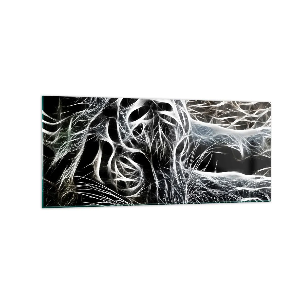 Obraz na skle - Studie kočičí lehkosti - 120x50 cm