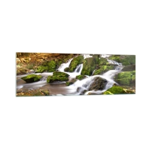 Obraz na skle - Chvatem podzimním lesem - 160x50 cm