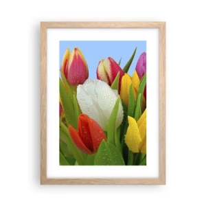 Plakát v rámu světlý dub - Květinová duha v kapkách rosy - 30x40 cm
