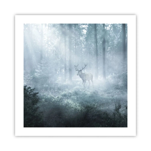 Plakát - Ranní obchůzka sídliště - 50x50 cm