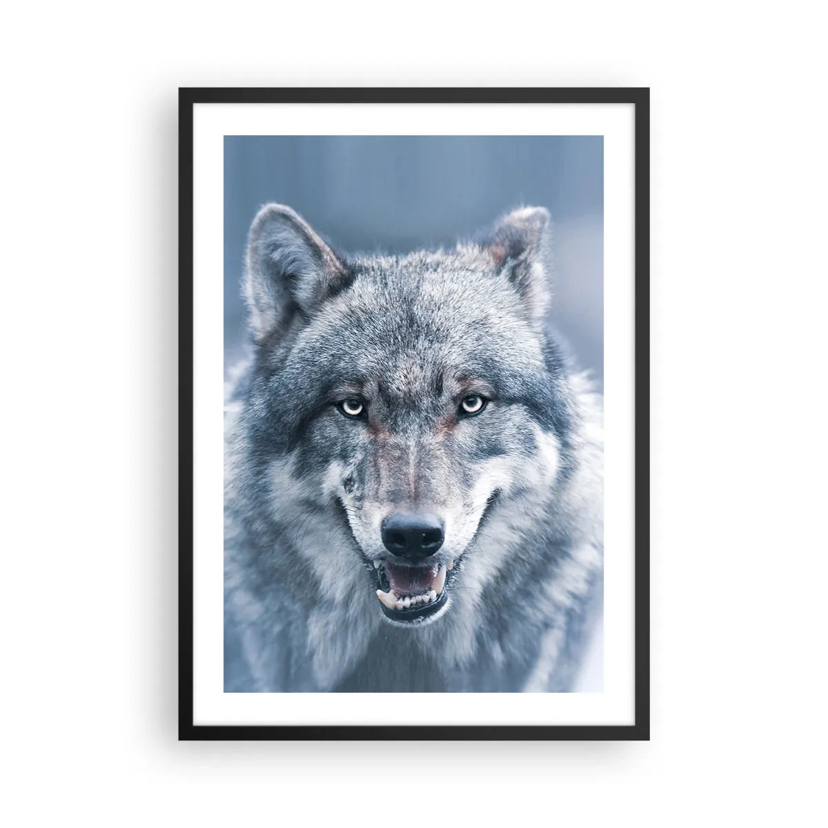 Plakát v černém rámu - Portrét vlka proti zimní krajině - 50x70cm - Přijmete tuto výzvu? - Moderní nástěnná dekorace do obývacího pokoje a ložnice ARTTOR