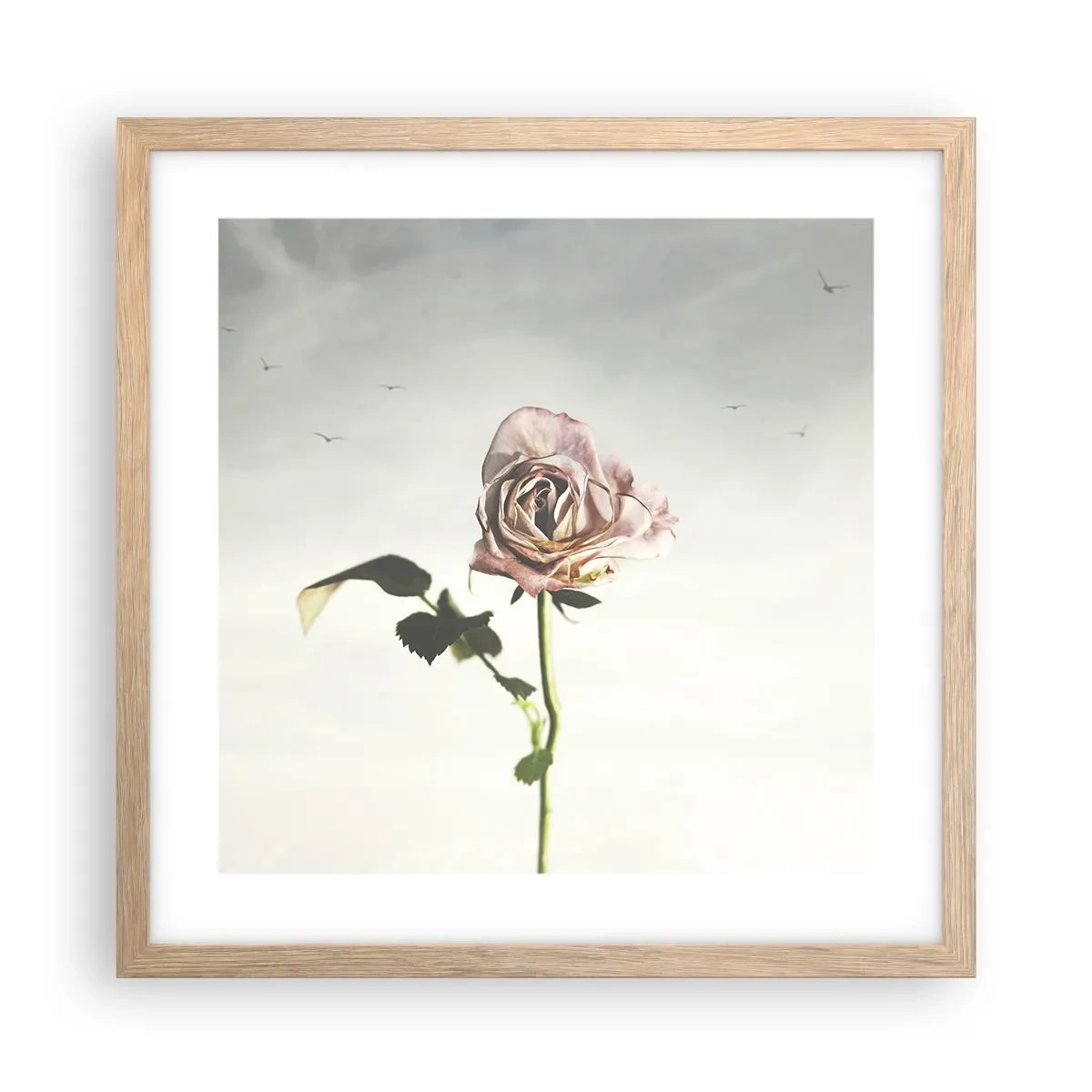 Plakát v rámu světlý dub - Vítání jara - 40x40 cm